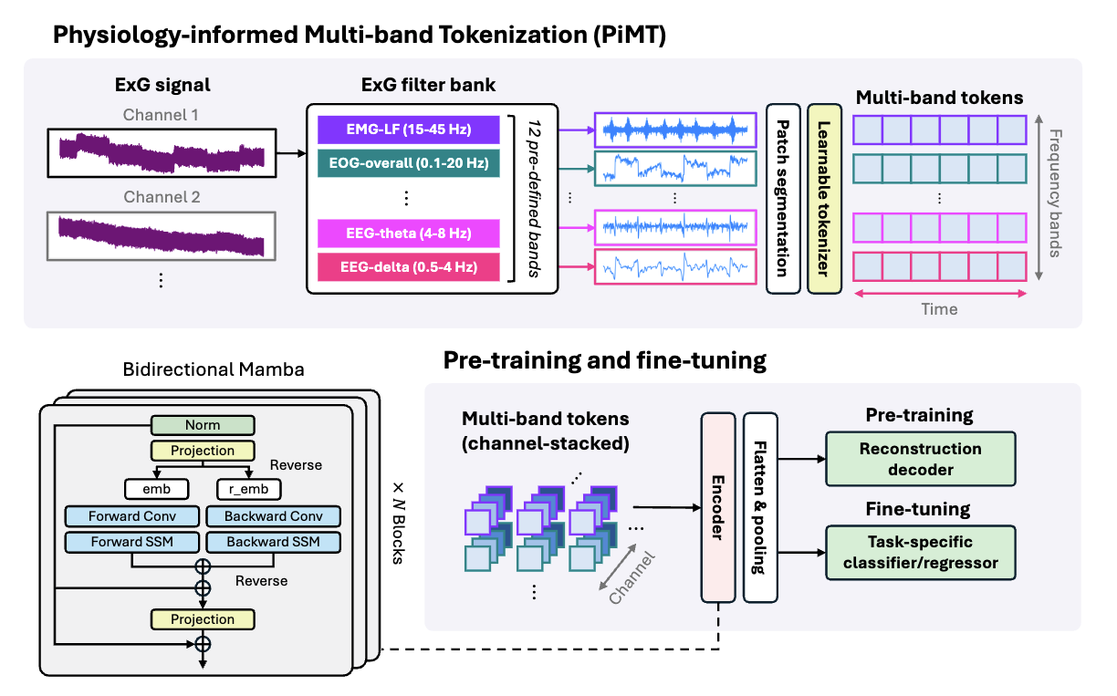 Beyond Hearing: Learning Task-agnostic ExG Representations from Earphones via Physiology-informed Tokenization